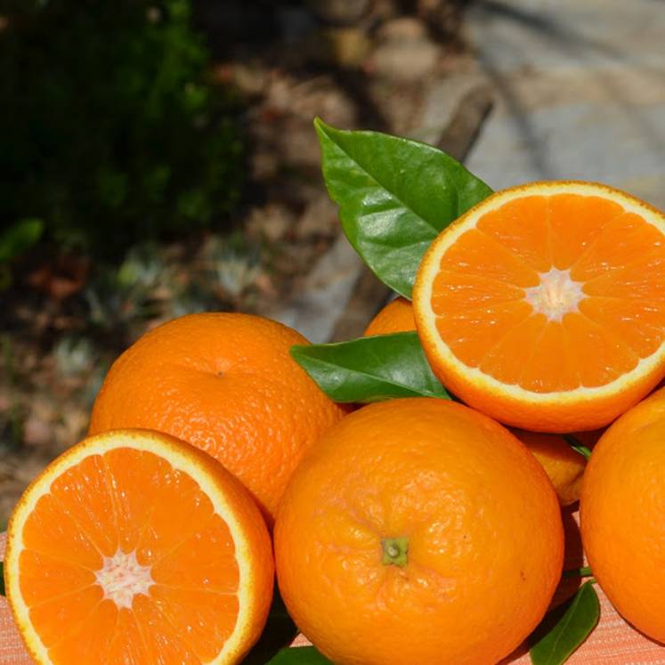 Naranjas Navel Late 1kg
