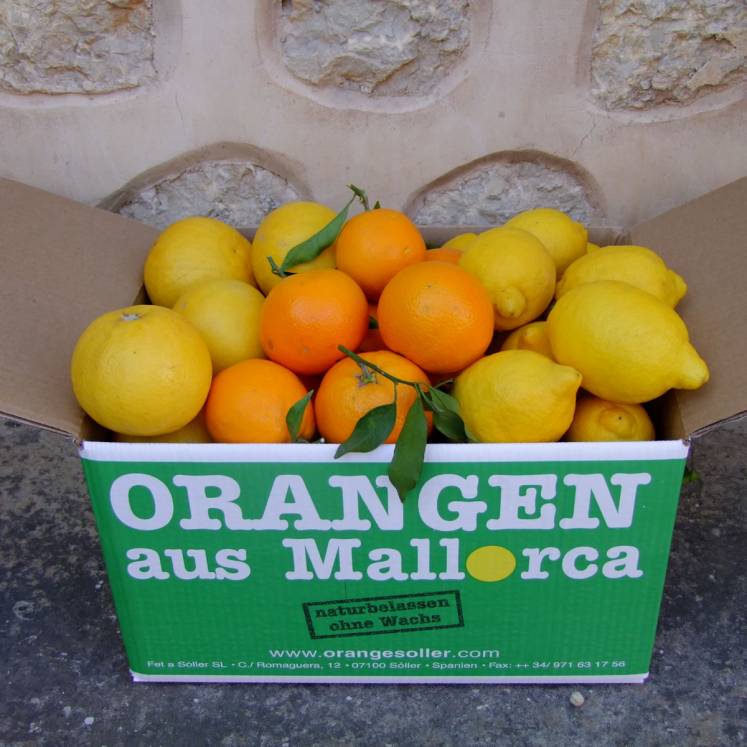 Gutschein für eine Kiste Orangen