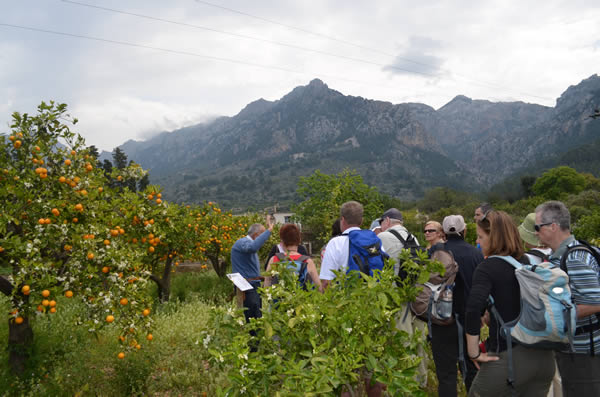 Visitors of the Finca ECO Vinyassa listen in to the stories of Joan, the owner