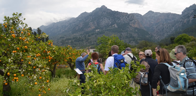 Der Finca Besitzer Joan bei einer Gruppenführung