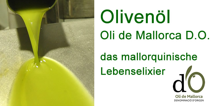 Bio orangen - Der absolute Vergleichssieger unserer Tester