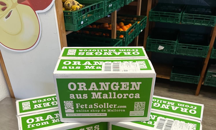 40KG Orangen für die Tafel in Sande