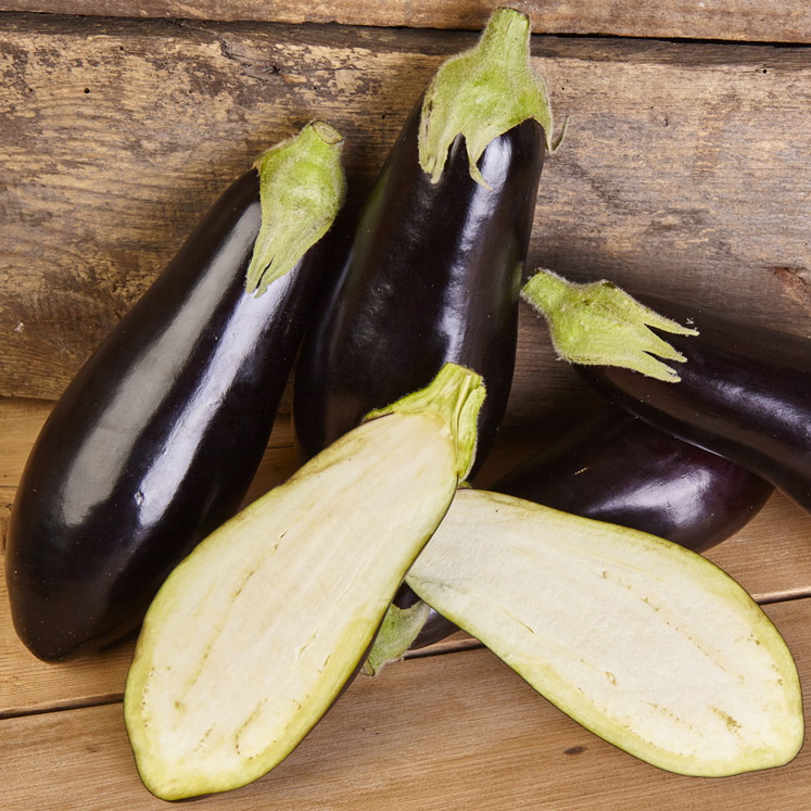 Eggplant from Mallorca