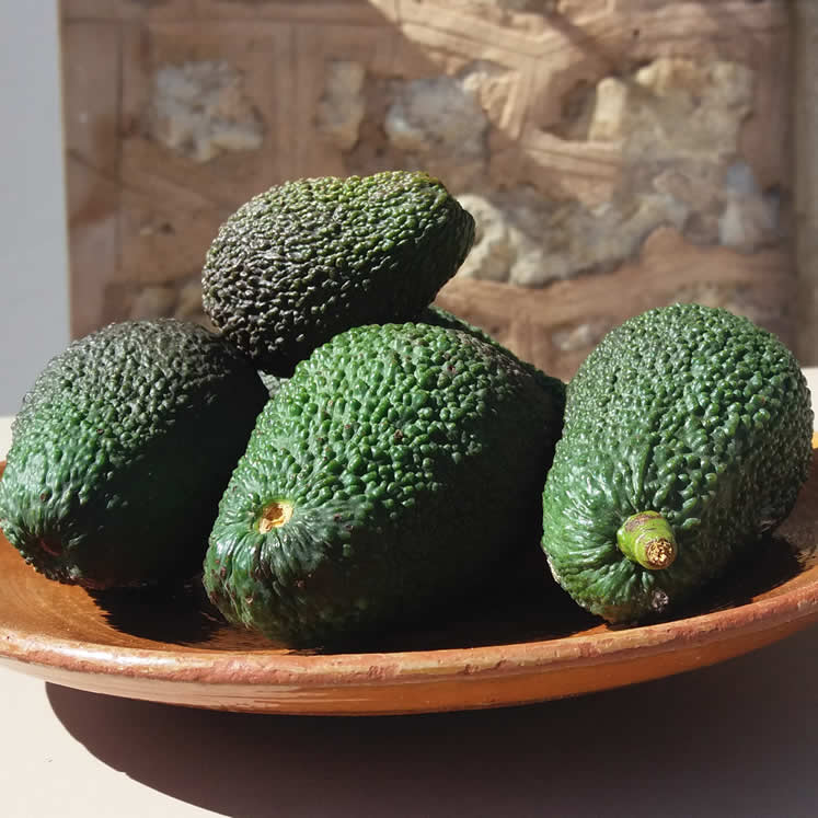 Avocats