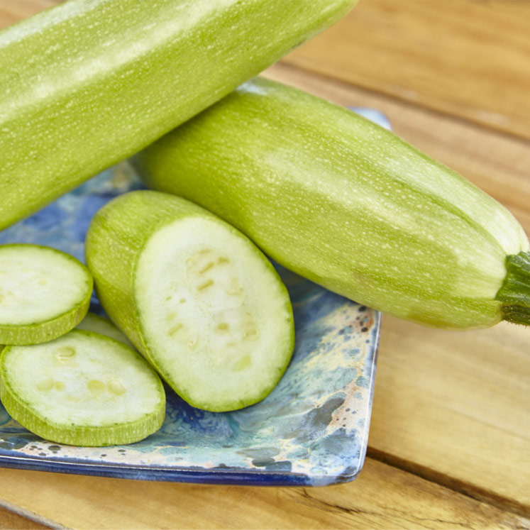 Calabacín – Zucchini