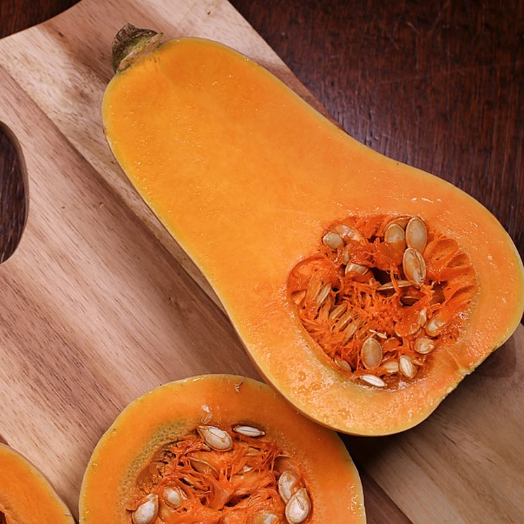 Calabaza Bio Butterkürbis