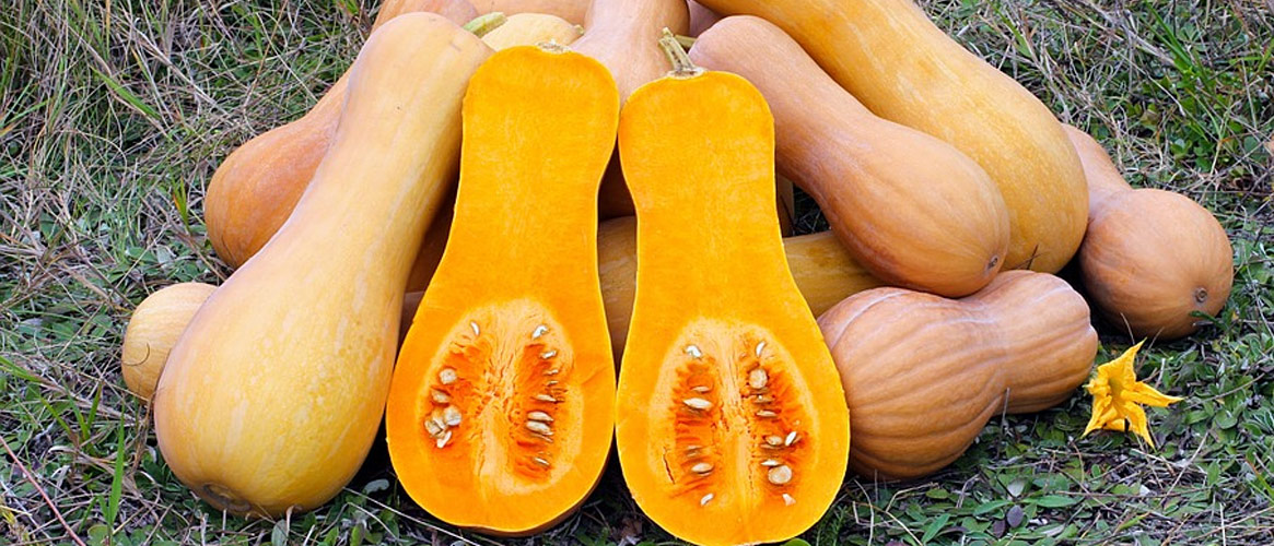 Organic butternut squash