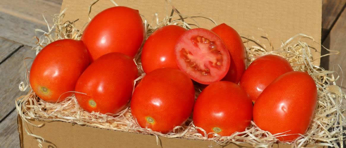 Eiertomaten