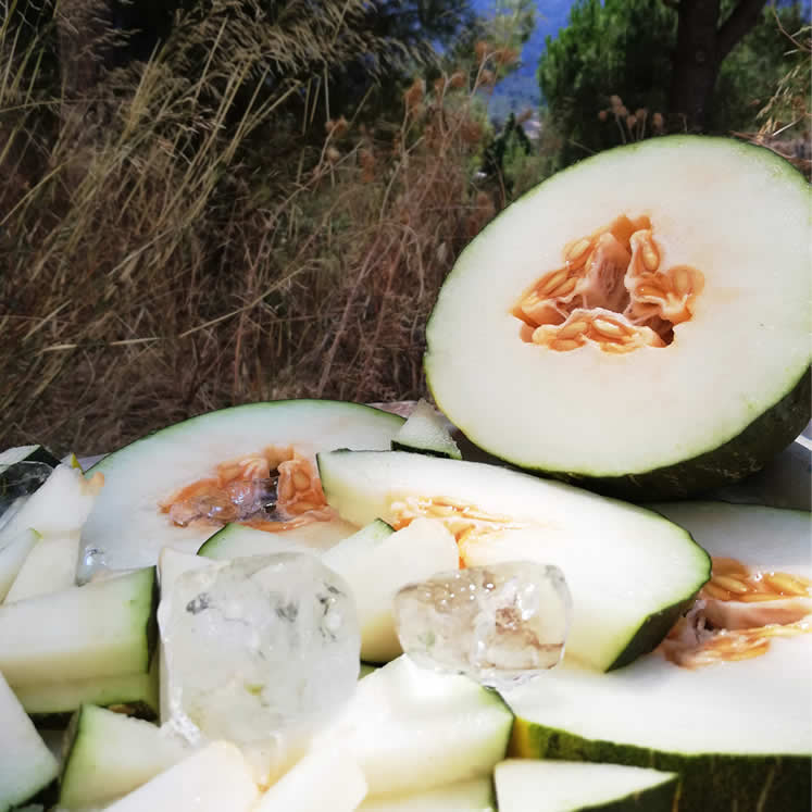 Melone - Melón Piel de Sapo