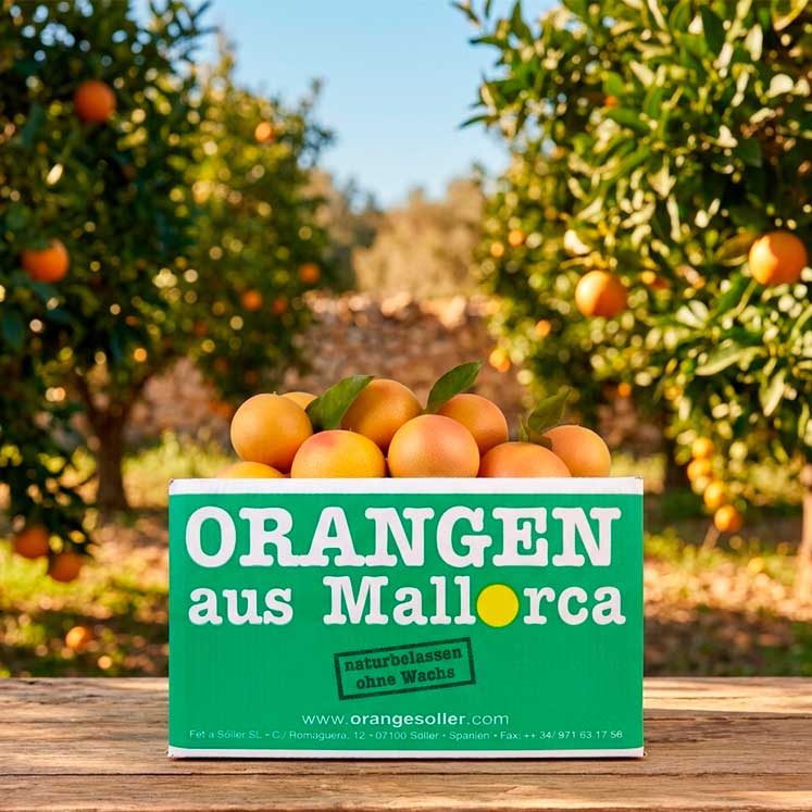 Pomelos Caja de 10kg