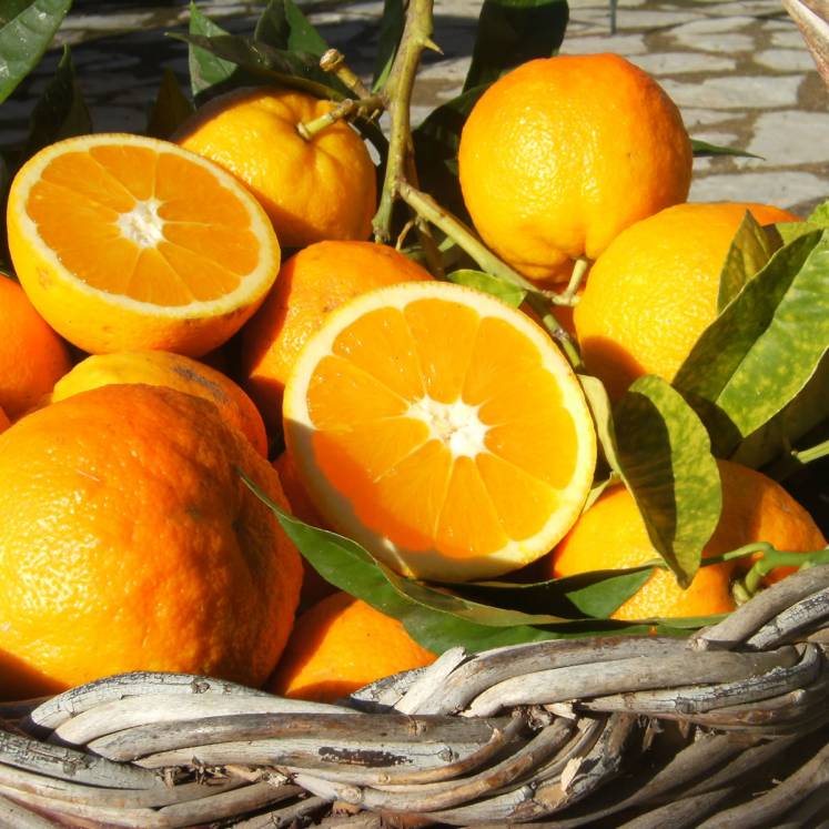 Canoneta oranges 10kg box