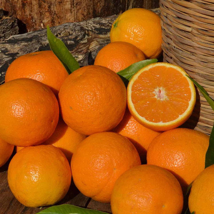 Oranges Valencia late 1Kg