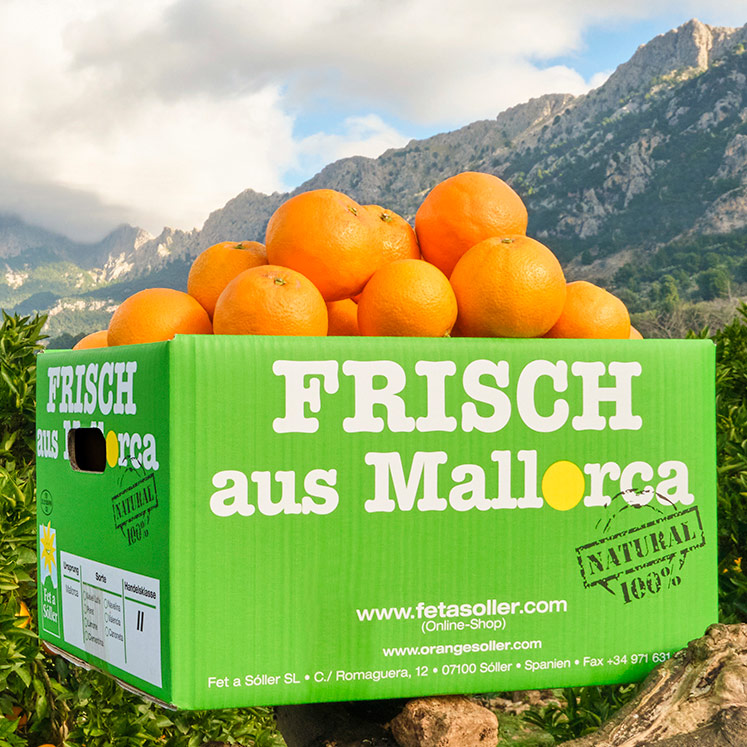 Navelina Orangen aus Mallorca 10kg