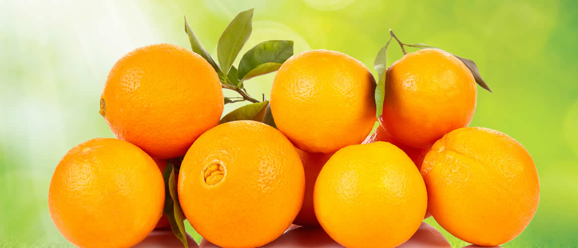Navelina Orangen aus Mallorca 1kg