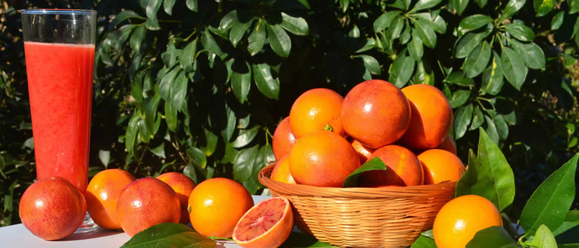 Oranges sanguines 10kg