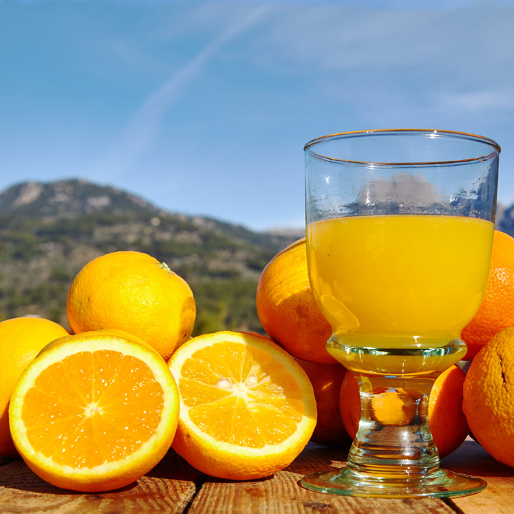 Canoneta juice oranges 1kg