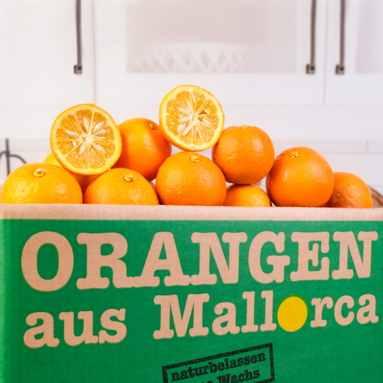 Cagette d’oranges amères de 10kg