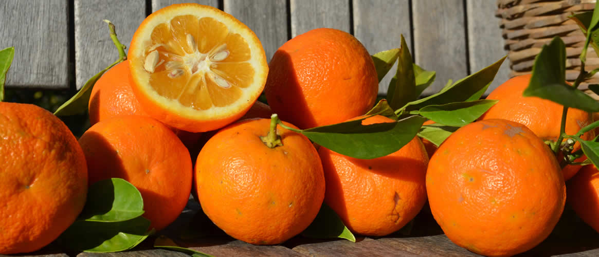 Naranjas amargas Caja de 10kg