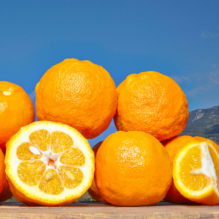 Oranges amères 1 kg
