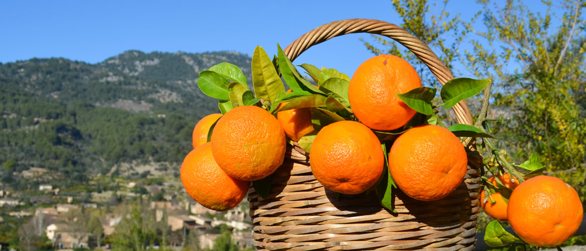 Bitterorangen 1kg