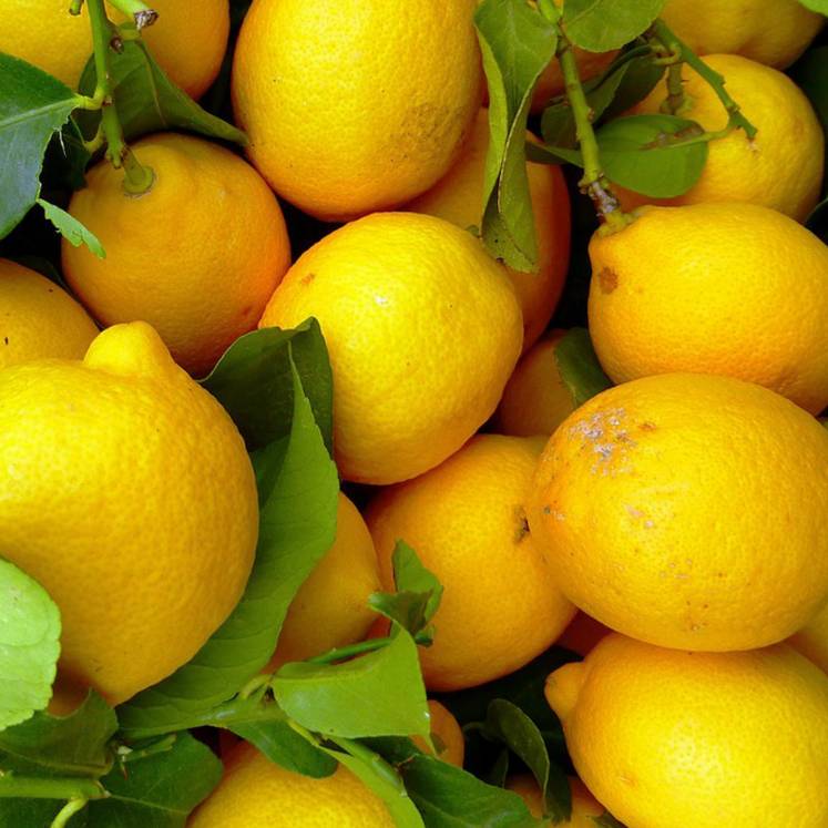 Limones 1kg