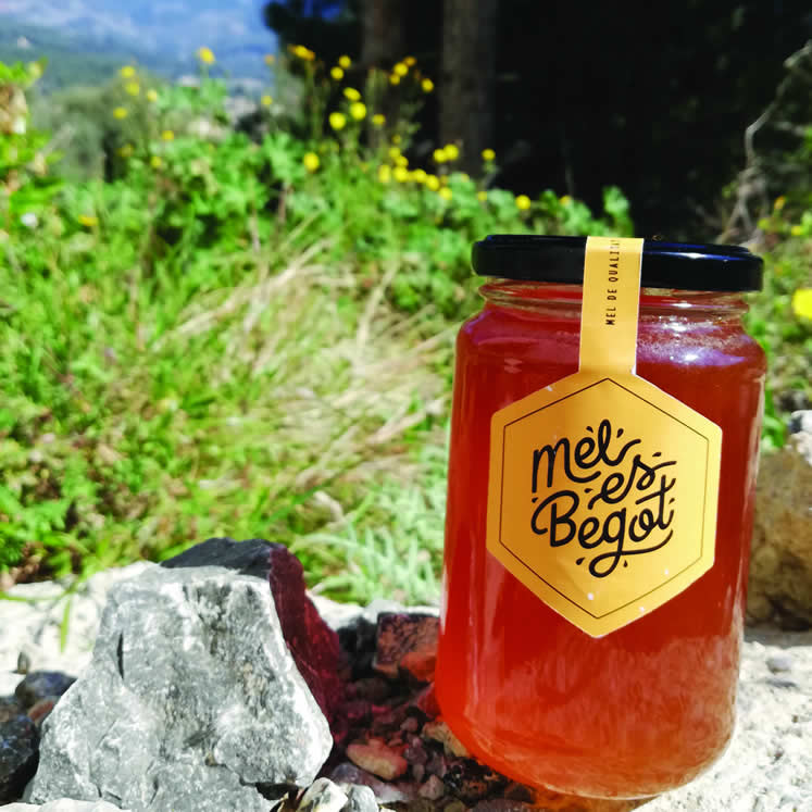 Mel Es Begot Miel de abejas 500gr