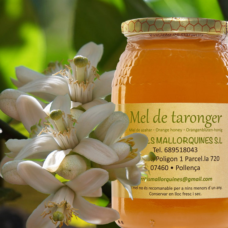 Miel de fleurs d'Oranger