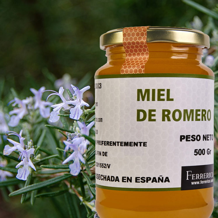 Ferrerico rosemary honey Miel de Romani