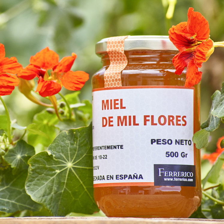 Ferrerico Blütenhonig Miel de Mil flores
