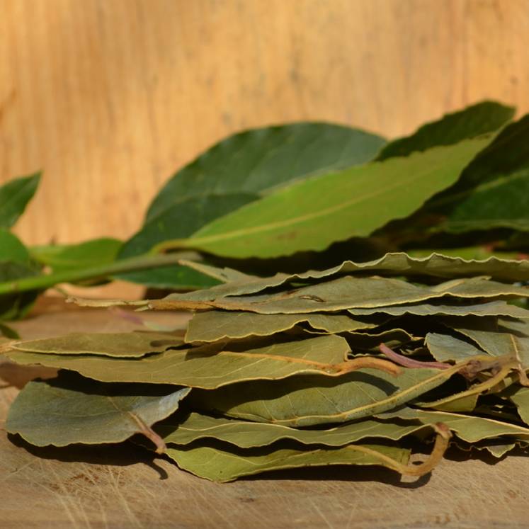 Laurel, Hoja de Laurel ecológico seca