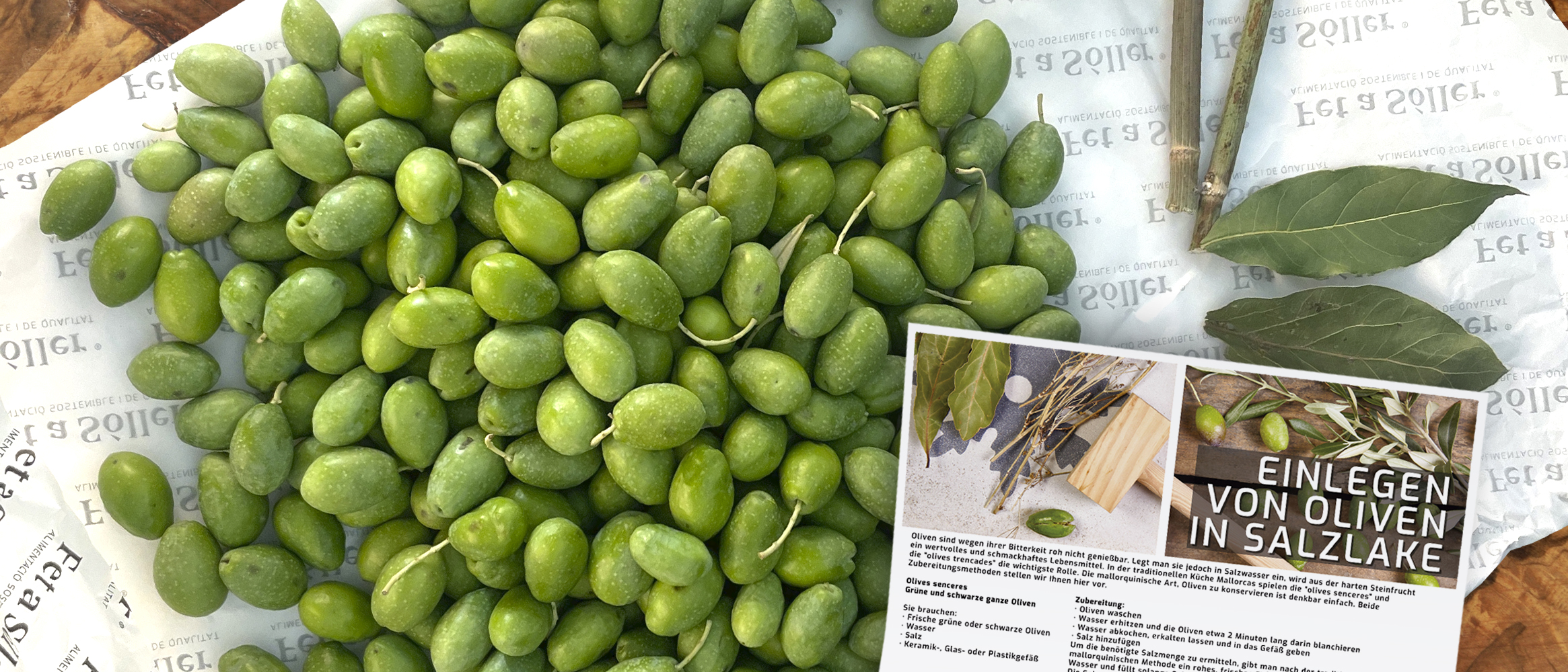Frische Oliven aus Mallorca zum Selbsteinlegen, ohne grosse Mühe