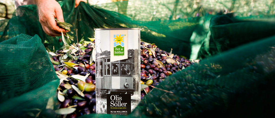 Olis Sóller Aceite de oliva virgen extra D.O. Tren Sóller