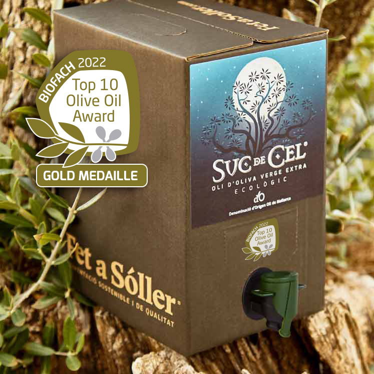 Suc de Cel extra virgin olive oil D.O.3L
