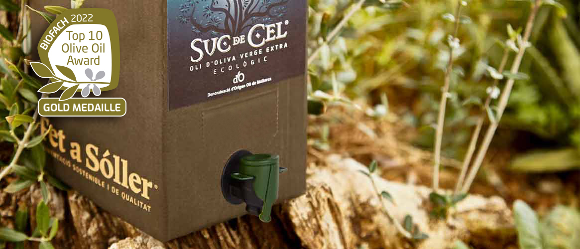 Suc de Cel extra virgin olive oil D.O.3L