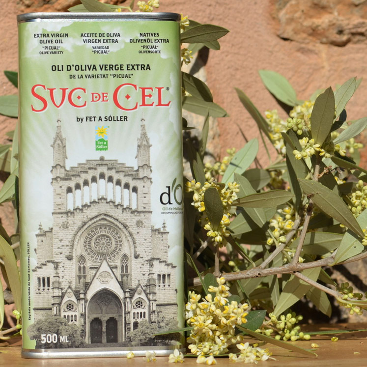 Suc de Cel extra virgin olive oil D.O.