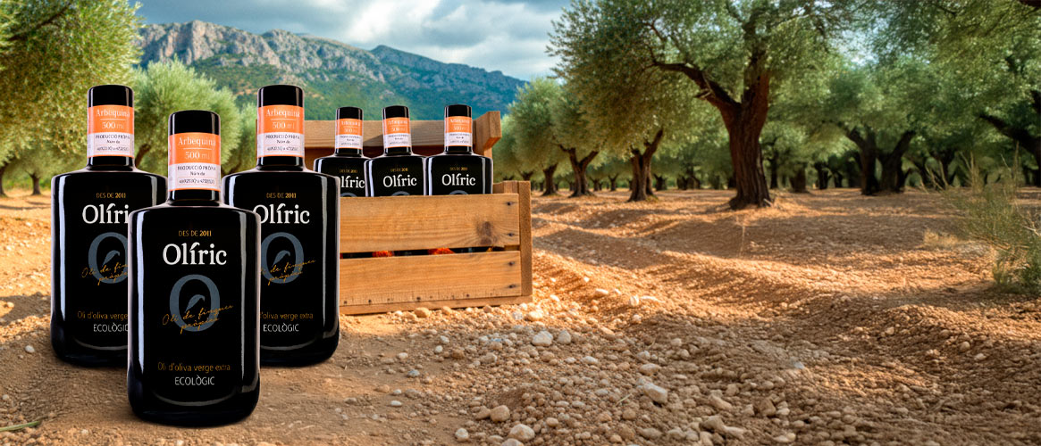 6 x Olíric BIO Olivenöl virgen extra