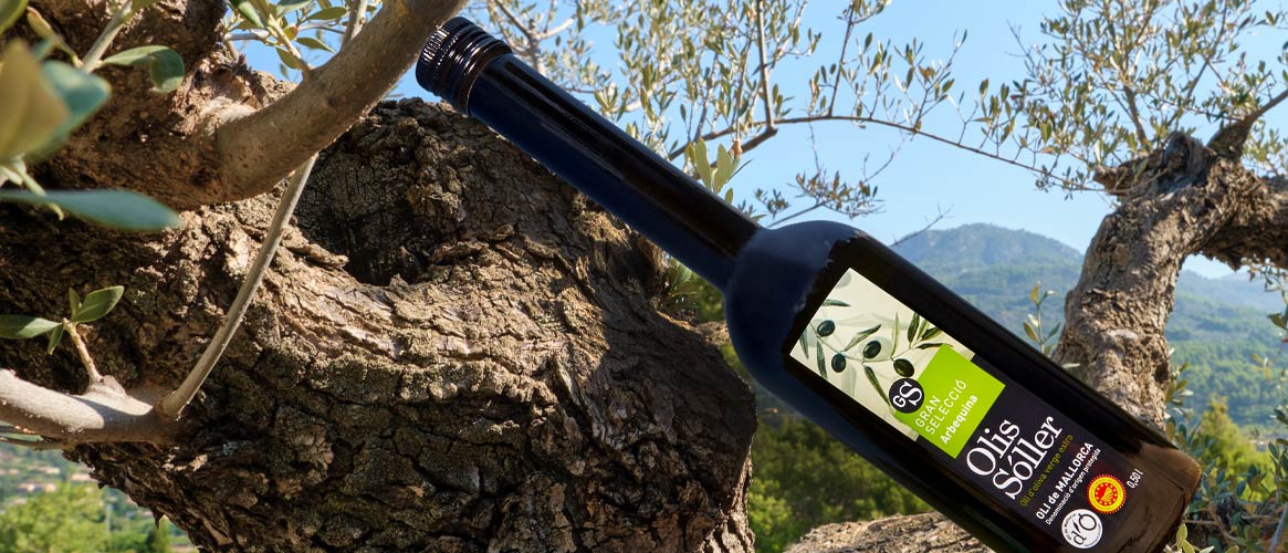 Gran Selecció Aceite de oliva virgen extra D.O. Olis Sóller