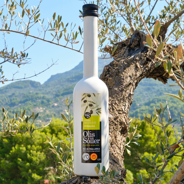 Aceite de oliva virgen extra Oli de Mallorca D.O.