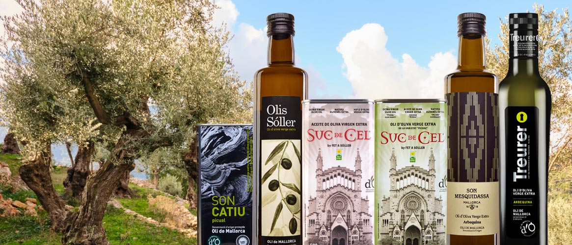 6 x Extra virgin olive oil D.O. Tasting pack 1