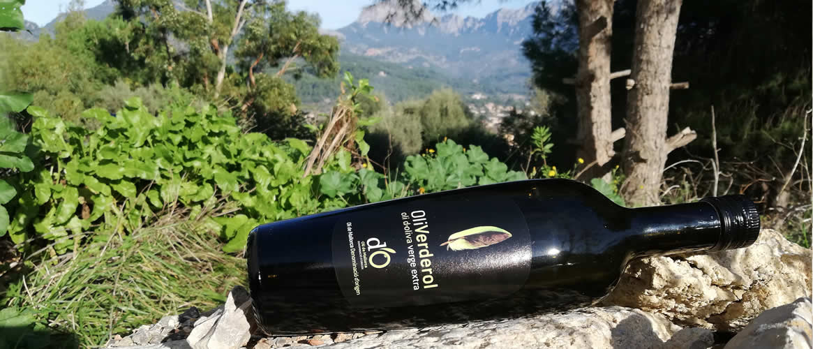 Oli Verderol Bio Olivenöl Virgen Extra D.O. Oli de Mallorca, Neue Ernte
