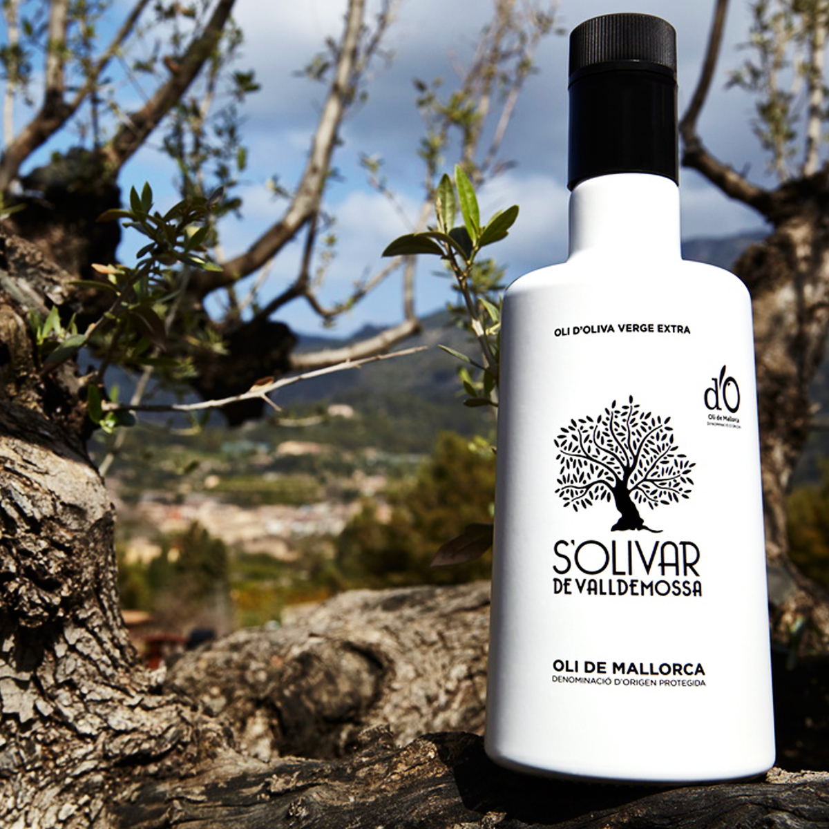 6 x Olivenöl Oli s'Olivar de Valldemossa D.O.