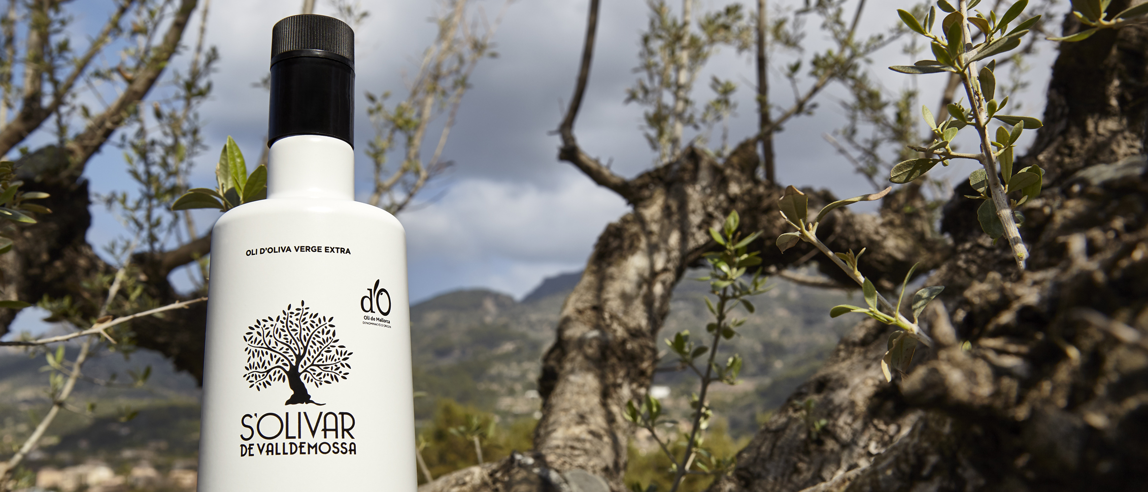 S\\'olivar de Valldemossa extra virgin olive oil D.O.