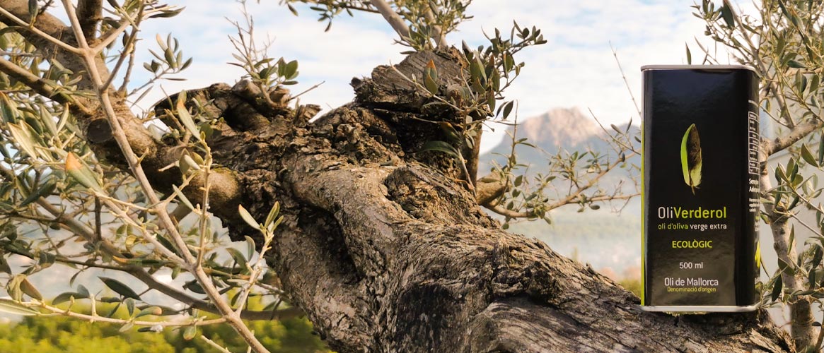 Oli Verderol Natives Bio-Olivenöl extra, Coupage Oli de Mallorca D.O.