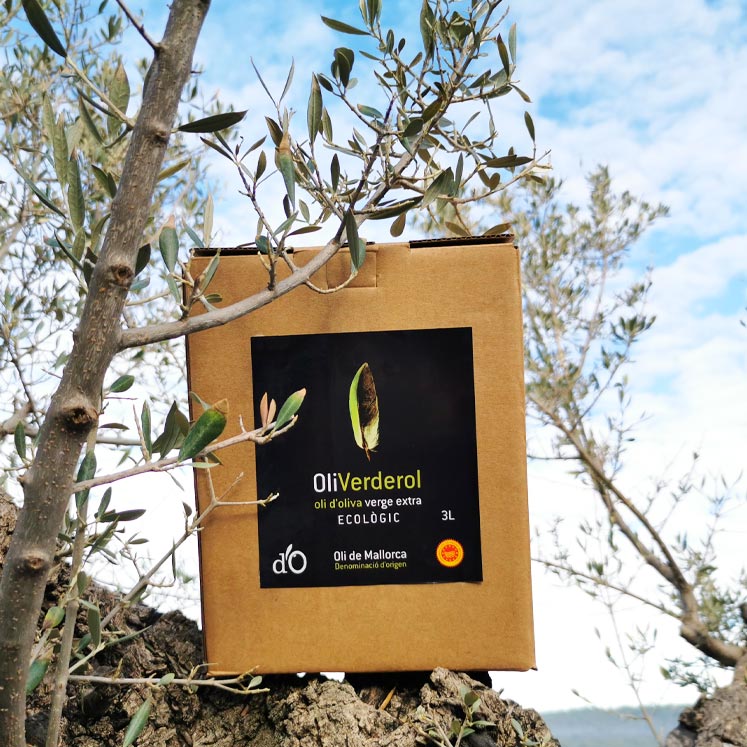 Oli Verderol Natives Bio-Olivenöl extra 3l Coupage Oli de Mallorca Neue Ernte