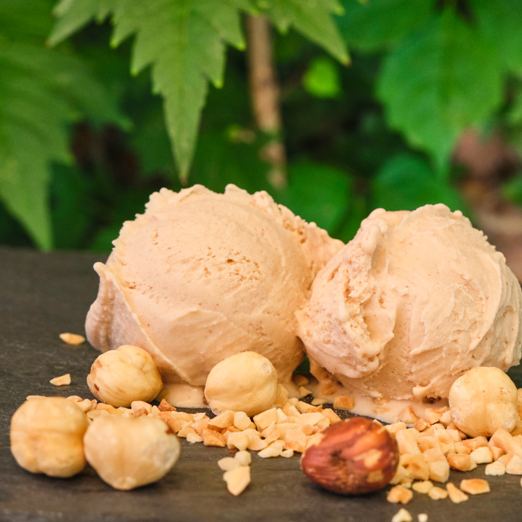 Gelat Sóller Haselnusseis 2.5L