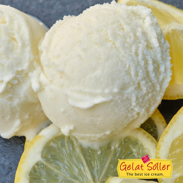 Gelat Sóller Limon veganes Zitronensorbet 500ml