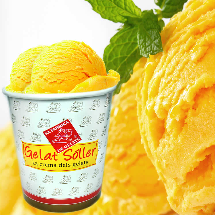 6 x citrus ice cream Citrus only