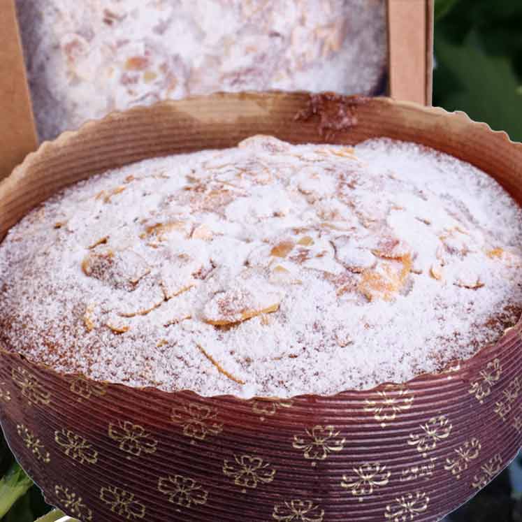 3x Gelat Sóller Gató (gâteau aux amandes) congelé