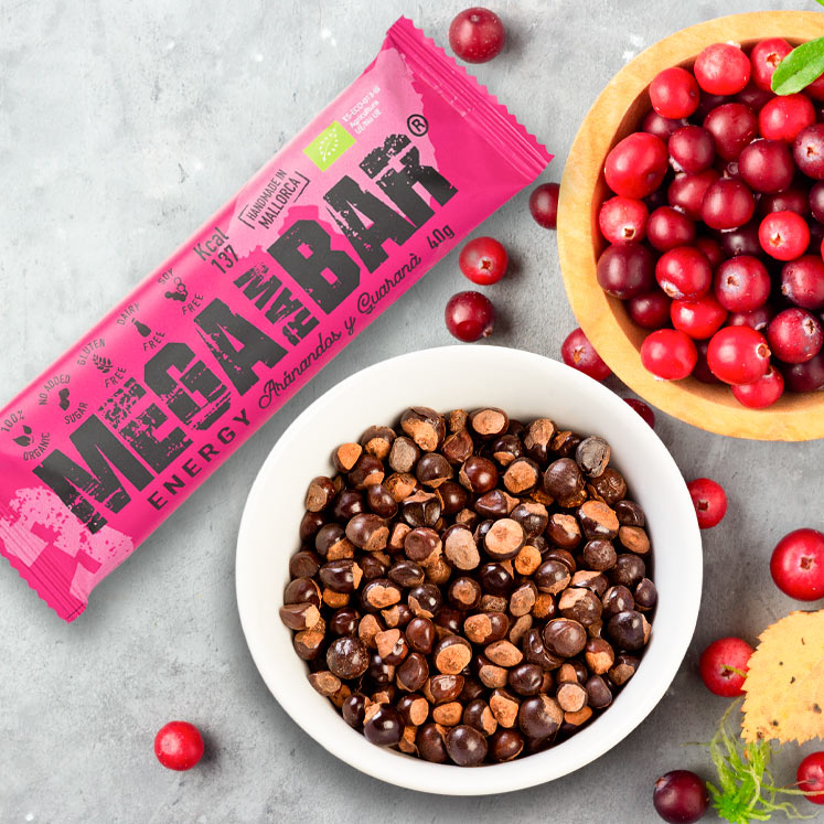 Organic Energy Bar with Red Cranberries and Guaraná (MRB3)