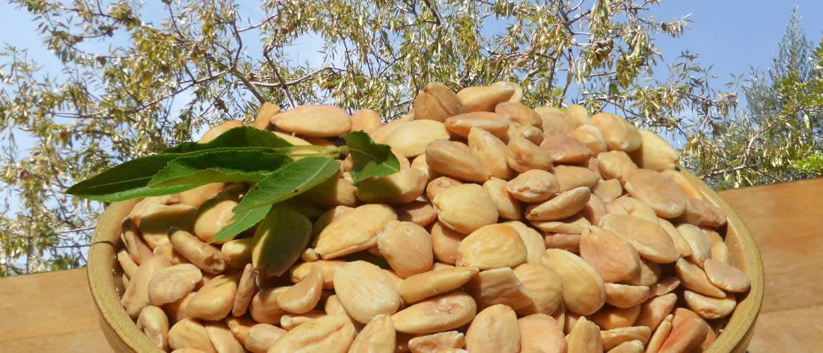 Camp Mallorqui organic almond sweet roasted 500g